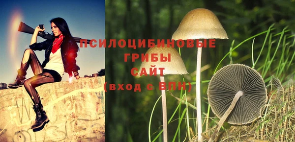 кокс Киреевск