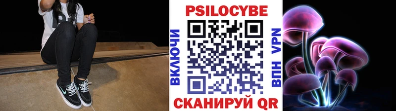 Галлюциногенные грибы Psilocybine cubensis  Купить  Малая Вишера 